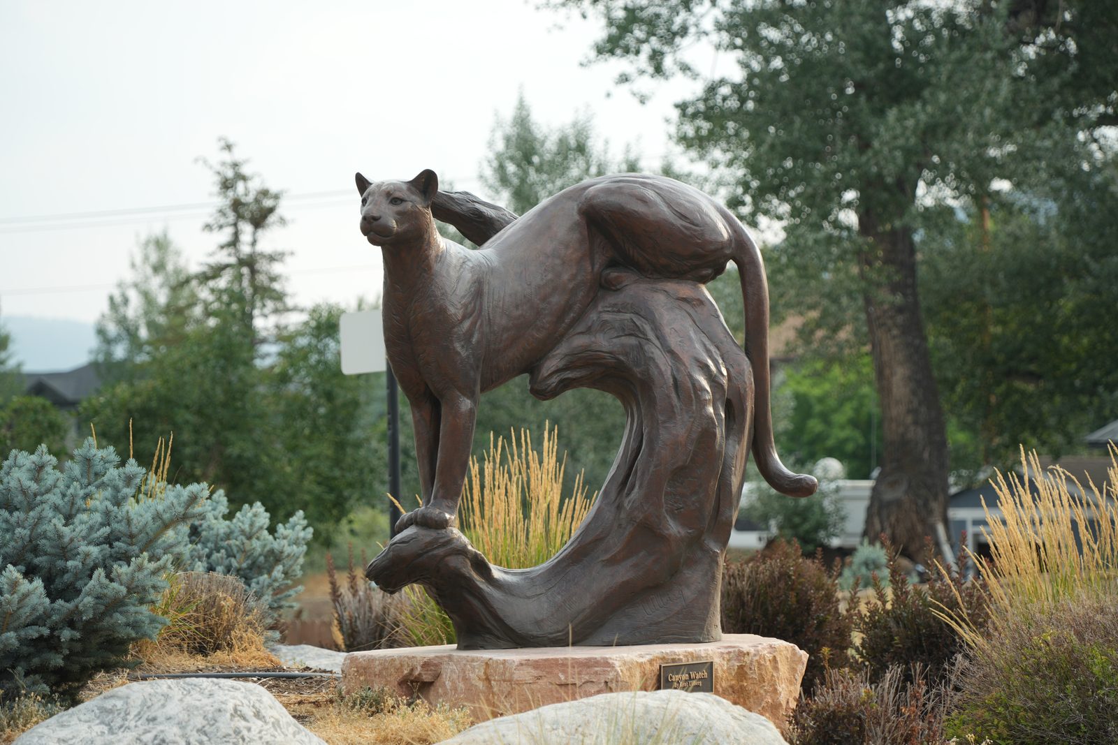 Canyon Watch, a six foot bronze mountain lion by Kent Ullberg, standing on a sandstone base in the Valley Road roundabout in Gypsum, Colorado